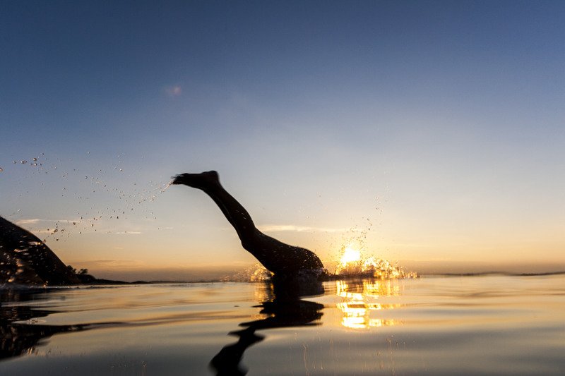 Swimming in the archipelago